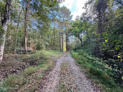 Turkey Roost Lodge in Wilkinson County, Mississippi - image 32