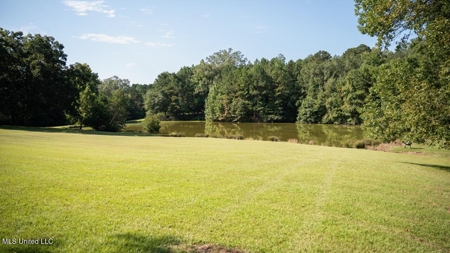 Turkey Roost Lodge in Wilkinson County, Mississippi - image 41