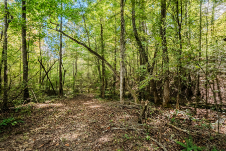 Off-Grid Farm & Recreational Land — 184.93± Acres in Tennessee! - image 17