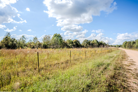 Off-Grid Farm & Recreational Land — 184.93± Acres in Tennessee! - image 41