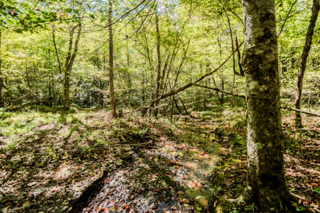 Off-Grid Farm & Recreational Land — 184.93± Acres in Tennessee! - image 23