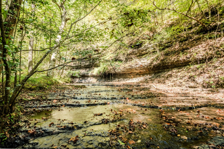 Off-Grid Farm & Recreational Land — 184.93± Acres in Tennessee! - image 28