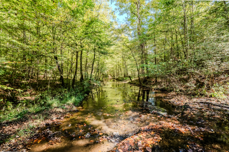 Off-Grid Farm & Recreational Land — 184.93± Acres in Tennessee! - image 24