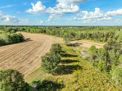 Off-Grid Farm & Recreational Land — 184.93± Acres in Tennessee! - image 47