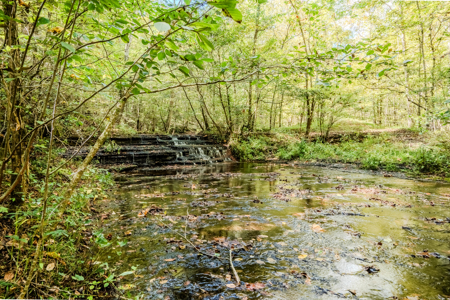 Off-Grid Farm & Recreational Land — 184.93± Acres in Tennessee! - image 32
