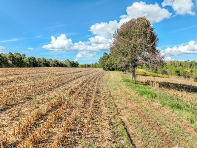 Off-Grid Farm & Recreational Land — 184.93± Acres in Tennessee! - image 45