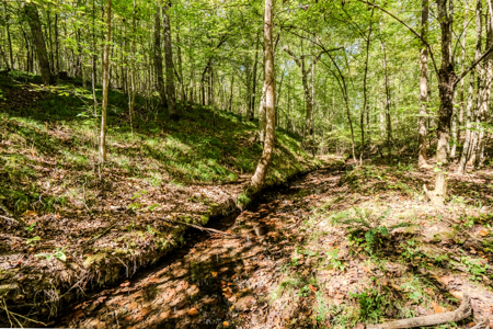 Off-Grid Farm & Recreational Land — 184.93± Acres in Tennessee! - image 20