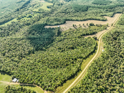 Off-Grid Farm & Recreational Land — 184.93± Acres in Tennessee! - image 49