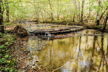 Off-Grid Farm & Recreational Land — 184.93± Acres in Tennessee! - image 35