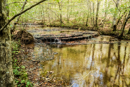 Off-Grid Farm & Recreational Land — 184.93± Acres in Tennessee! - image 36