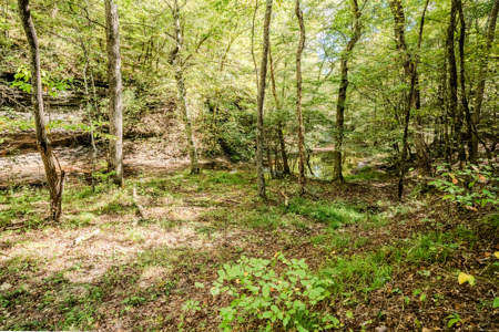 Off-Grid Farm & Recreational Land — 184.93± Acres in Tennessee! - image 34