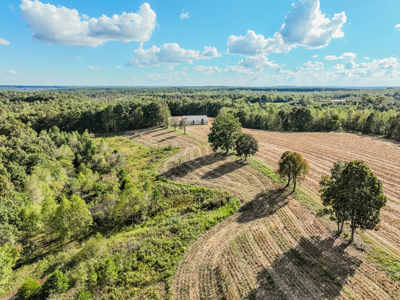 Off-Grid Farm & Recreational Land — 184.93± Acres in Tennessee! - image 48