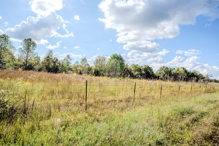 Off-Grid Farm & Recreational Land — 184.93± Acres in Tennessee! - image 40
