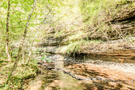 Off-Grid Farm & Recreational Land — 184.93± Acres in Tennessee! - image 30