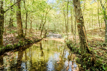 Off-Grid Farm & Recreational Land — 184.93± Acres in Tennessee! - image 25