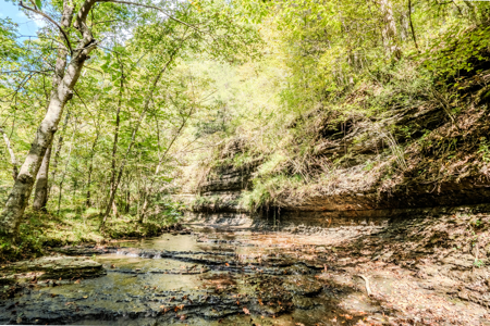 Off-Grid Farm & Recreational Land — 184.93± Acres in Tennessee! - image 29