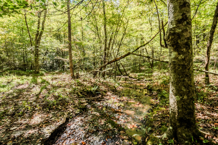 Off-Grid Farm & Recreational Land — 184.93± Acres in Tennessee! - image 22
