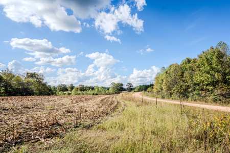 Off-Grid Farm & Recreational Land — 184.93± Acres in Tennessee! - image 39