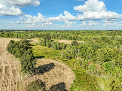 Off-Grid Farm & Recreational Land — 184.93± Acres in Tennessee! - image 46