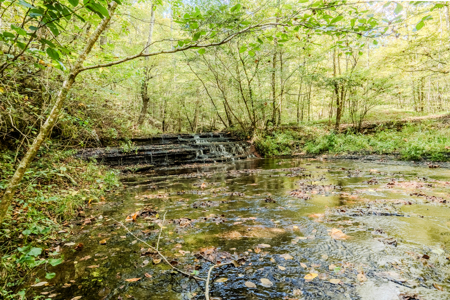 Off-Grid Farm & Recreational Land — 184.93± Acres in Tennessee! - image 33