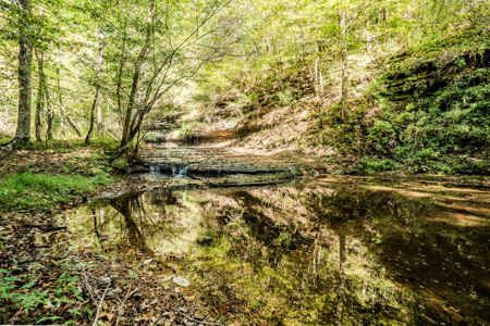 Off-Grid Farm & Recreational Land — 184.93± Acres in Tennessee! - image 26