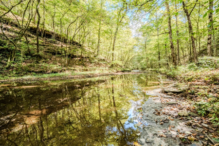 Off-Grid Farm & Recreational Land — 184.93± Acres in Tennessee! - image 27