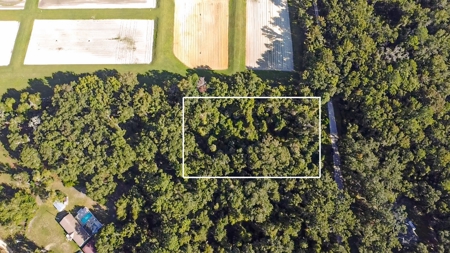 Vacant Land For Sale In Chiefland, Florida, 1.39 Acres - image 5
