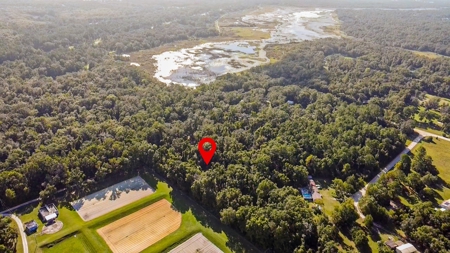 Vacant Land For Sale In Chiefland, Florida, 1.39 Acres - image 3