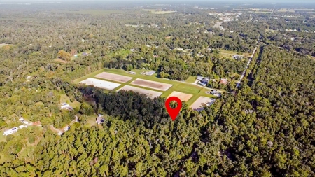 Vacant Land For Sale In Chiefland, Florida, 1.39 Acres - image 2
