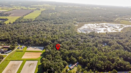 Vacant Land For Sale In Chiefland, Florida, 1.39 Acres - image 4