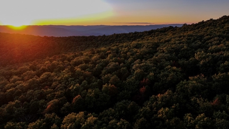 Dream Mountain Home on 125 Private Acres with Epic Views - image 38