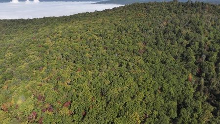 Dream Mountain Home on 125 Private Acres with Epic Views - image 33