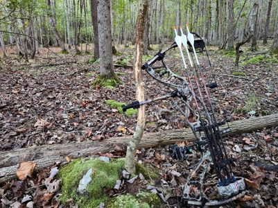 Dream Mountain Home on 125 Private Acres with Epic Views - image 46