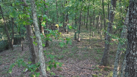 Dream Mountain Home on 125 Private Acres with Epic Views - image 32