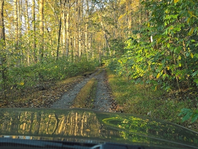 Dream Mountain Home on 125 Private Acres with Epic Views - image 43