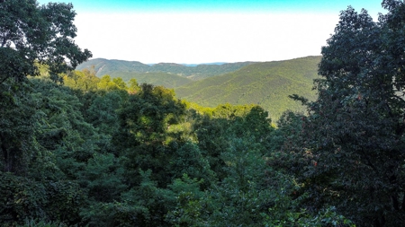 Dream Mountain Home on 125 Private Acres with Epic Views - image 12