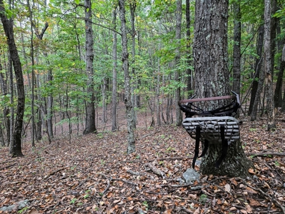 Dream Mountain Home on 125 Private Acres with Epic Views - image 41