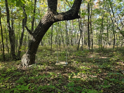 Dream Mountain Home on 125 Private Acres with Epic Views - image 15