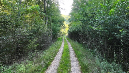 Dream Mountain Home on 125 Private Acres with Epic Views - image 3