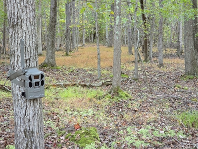 Dream Mountain Home on 125 Private Acres with Epic Views - image 45