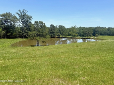 Rolling Hills Pastureland and Wooded land for sale - image 1
