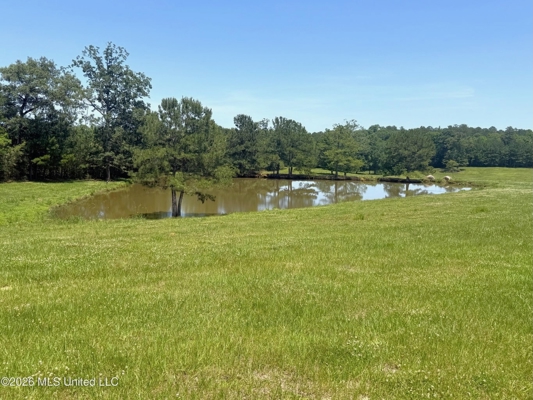 Rolling Hills Pastureland and Wooded land for sale