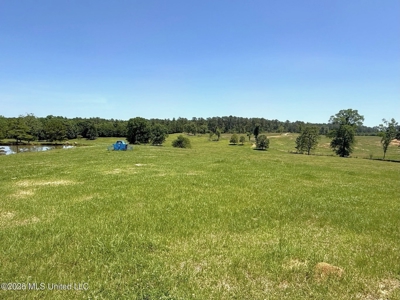 Rolling Hills Pastureland and Wooded land for sale - image 5