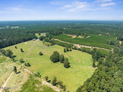 Rolling Hills Pastureland and Wooded land for sale - image 14