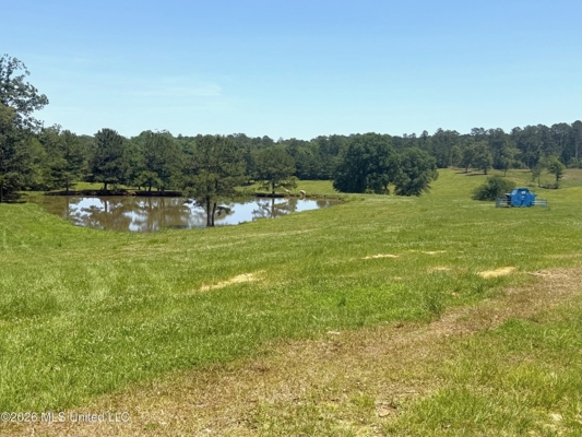 Rolling Hills Pastureland and Wooded land for sale