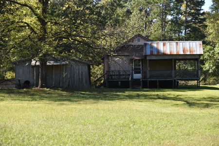 53+ Acres for Sale in Bolivar TN – Pond, Timber & Near Blue Oval - image 24