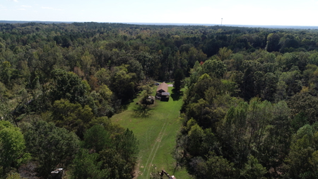 53+ Acres for Sale in Bolivar TN – Pond, Timber & Near Blue Oval - image 6