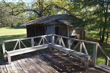 53+ Acres for Sale in Bolivar TN – Pond, Timber & Near Blue Oval - image 21