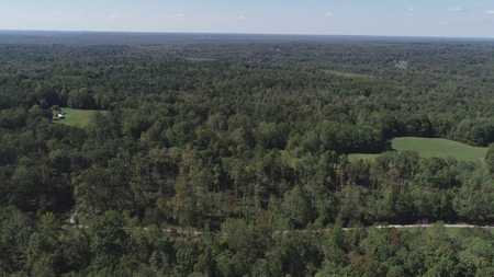 53+ Acres for Sale in Bolivar TN – Pond, Timber & Near Blue Oval - image 12