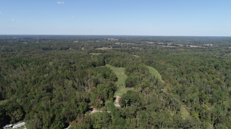 53+ Acres for Sale in Bolivar TN – Pond, Timber & Near Blue Oval - image 5